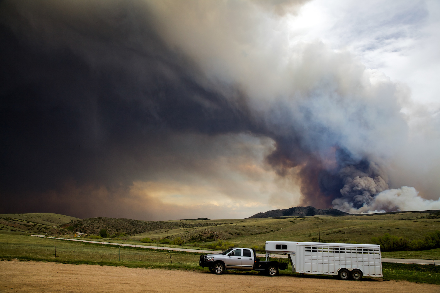 Evacuating livestock